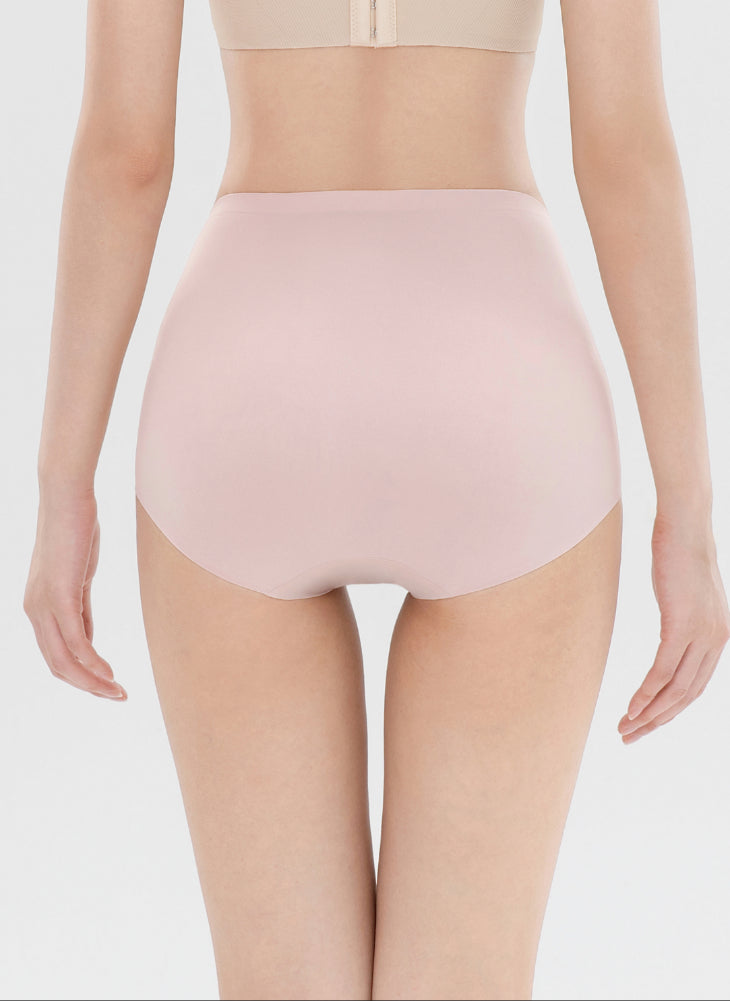The Invisible Core Maxi Panty