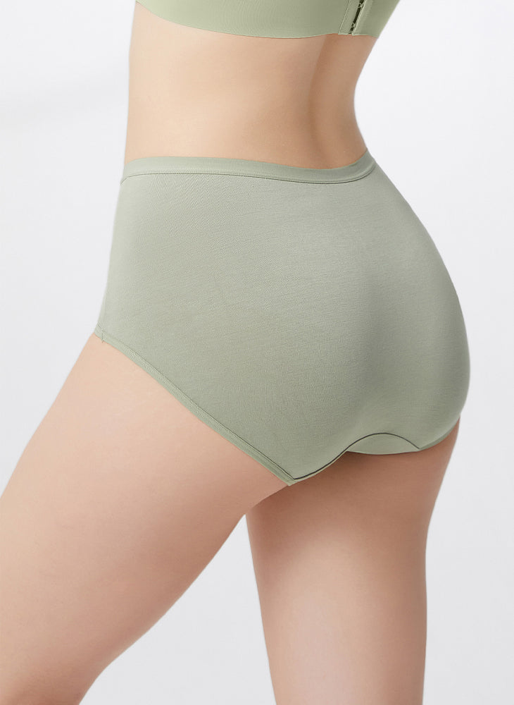 Bamboo Comfort 2-in-1 Pack Maxi Panty