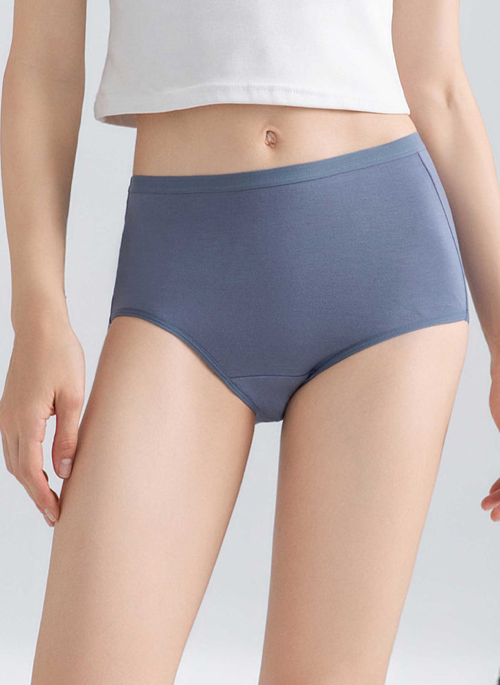 Bamboo Comfort 2-in-1 Pack Maxi Panty