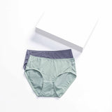 Amelia Stripy Midi Panty