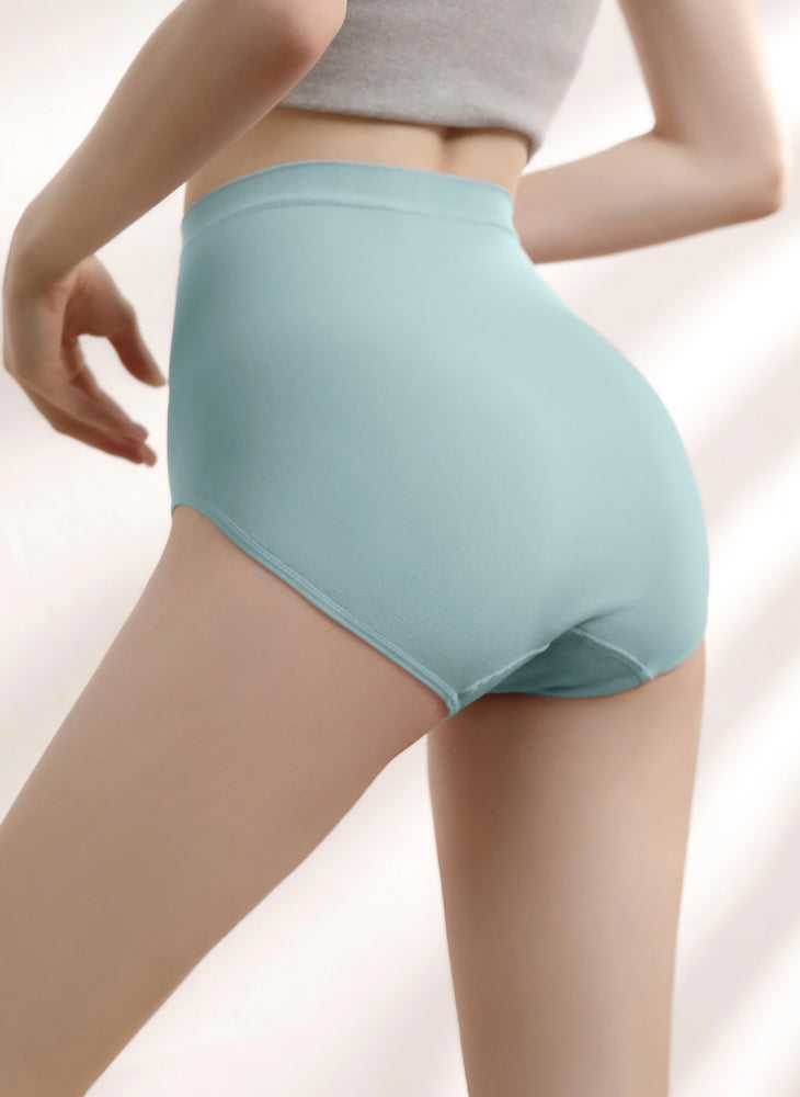 Nora Seamfree Maxi Plus 2-in-1 pack Panties