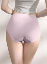 Homey Briefs Maxi Plus Panties