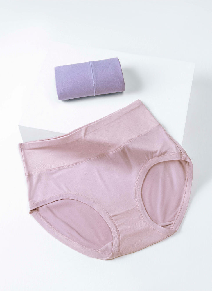 Homey Briefs Maxi Plus Panties – Sorella Singapore