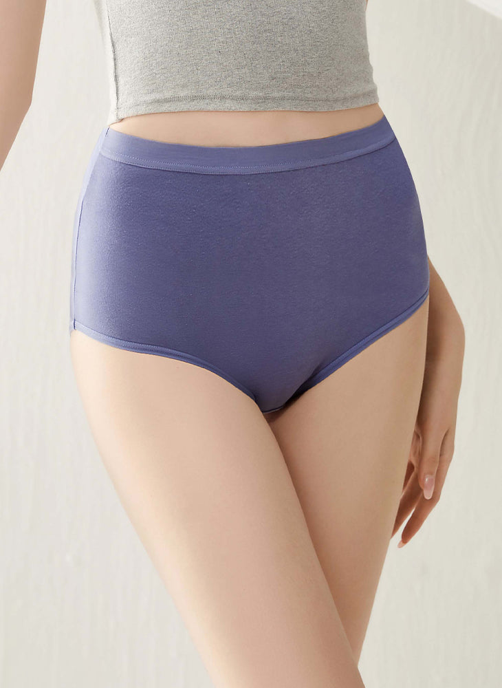 Comfort Cotton 4-in-1 Maxi Pack Panty