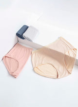 Bamboo Comfort Maxi Pack of 4 Panties